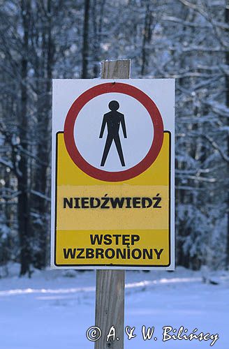 tablica ostrzegająca przed niedźwiedziem, Bieszczady, Góry Słonne
