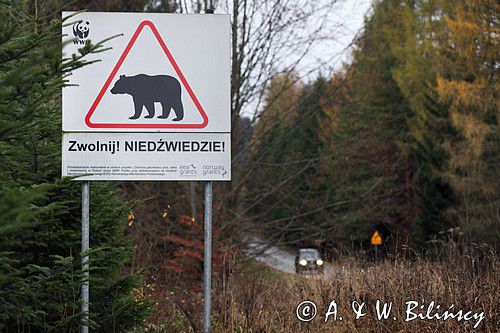 tablica, Bieszczady