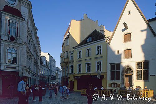 Tallin, Vana Turg, Dolne Miasto, Estonia