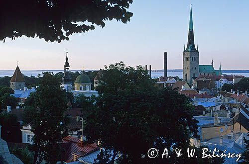 Tallin, Panorama miasta z Toompei, Estonia