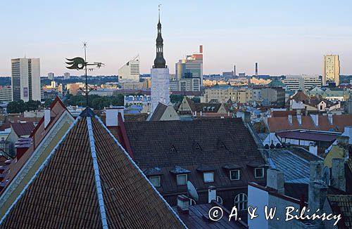 Tallin, Panorama miasta z Toompei, Estonia