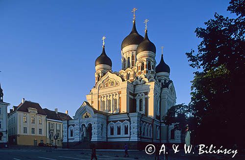 Tallin, Cerkiew Aleksander Newski, Estonia