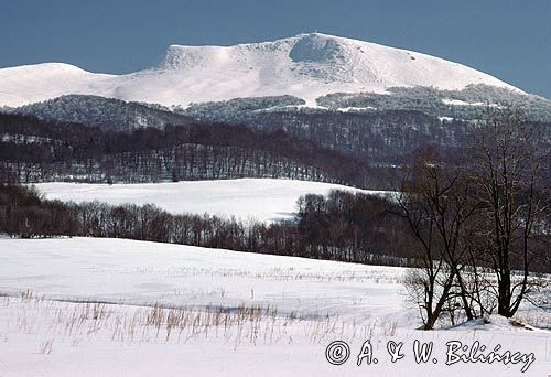 Tarnica Bieszczady