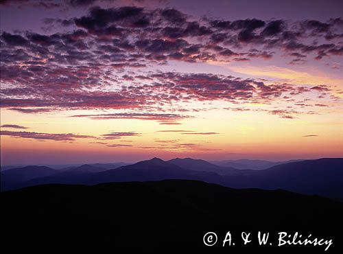 Tarnica Bieszczady