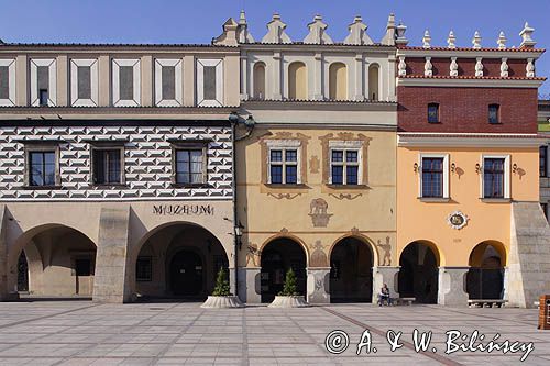 Tarnów, Rynek, kamienice Rynek 21, 20 - Muzeum Okręgowe i Rynek 19