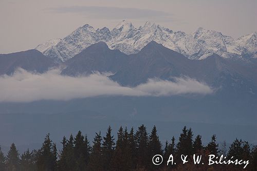 Tatry szczyty w chmurach, widok z Gorców