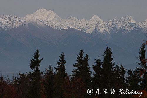 Tatry szczyty w chmurach, widok z Gorców