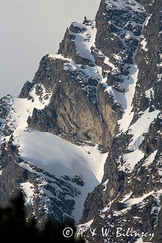 Tatry Kościelec / widok spod żóltej turni/