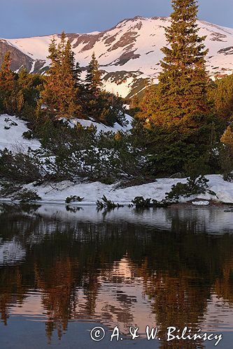 Tatry Dolina Gąsienicowa i Beskid