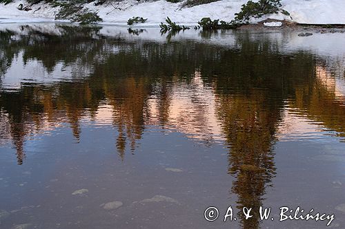 Tatry Dolina Gąsienicowa i Beskid