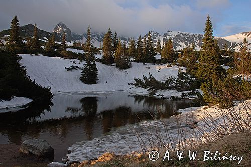 Tatry Dolina Gąsienicowa