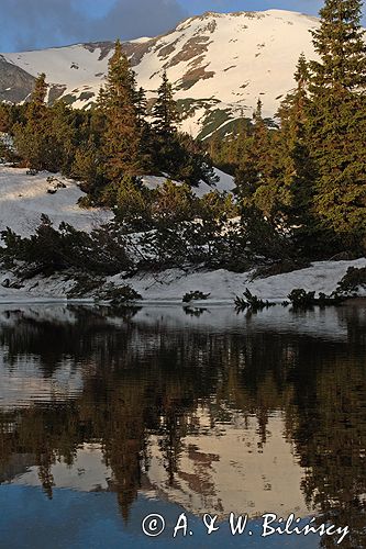 Tatry Dolina Gąsienicowa i Beskid