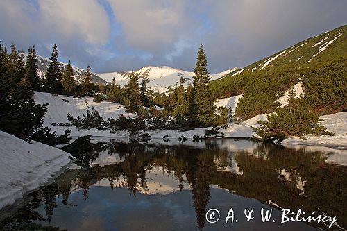 Tatry Dolina Gąsienicowa i Beskid