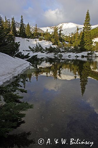 Tatry Dolina Gąsienicowa i Beskid