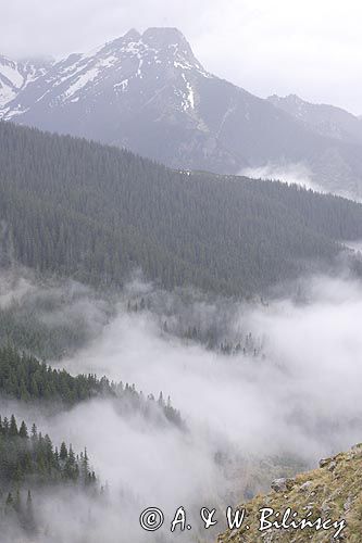 mgła w Dolinie Jaworzynka i Giewont, Tatrzański Park Narodowy