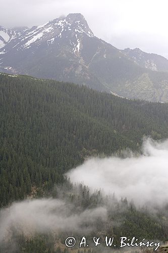 mgła w Dolinie Jaworzynka i Giewont, Tatrzański Park Narodowy