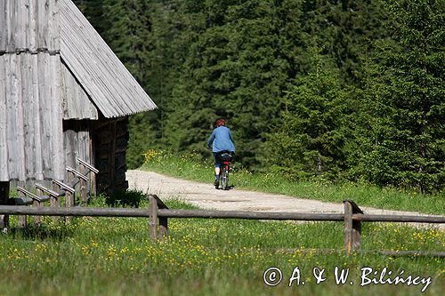 na Polanie Chochołowskiej Tatrzański Park Narodowy