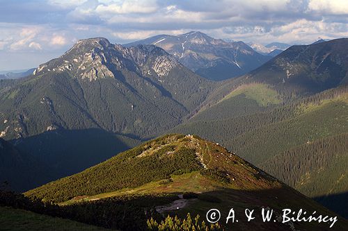 Panorama Tatr z Grzesia, Kominiarski Wierch i Iwaniacka Przełęcz, Tatrzański Park Narodowy