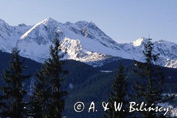 Tatry widok z Polany Zgorzelisko