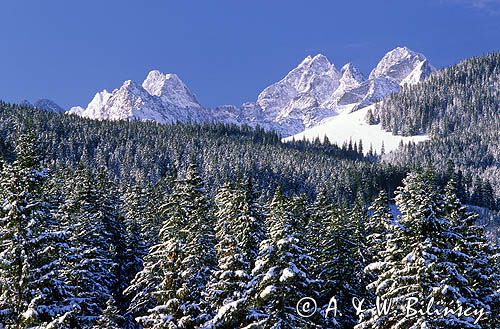 Tatry widok z Polany Zgorzelisko