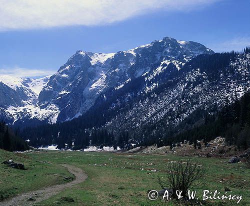Wielka Polana i Wielkie Turnie w Tatrach