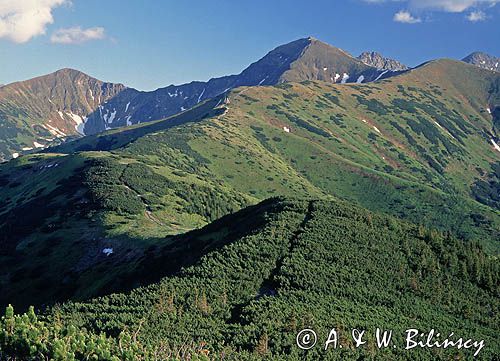 Na Grzesiu, widok na Rakoń, Wołowiec i Łopatę Tatry Zachodnie