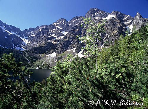 Tatry Mięguszowiecki Szczyt