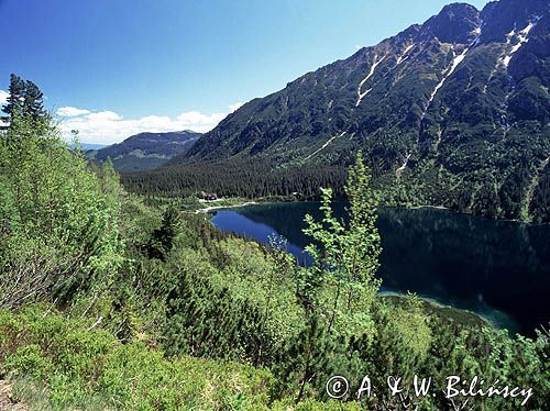 Tatry widok na Morskie Oko