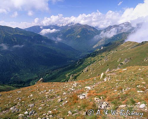 Tatry Dolina Cicha Widok spod Kasprowego na Tomanową