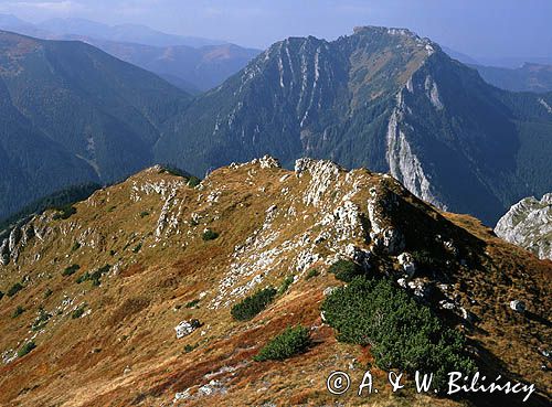 Tatry Kamienne Zadnie i Kominiarski Wierch