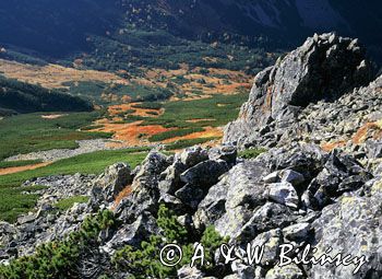 Tatry widok z Ornaku na Dolinę Starorobociańską