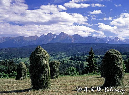 Spisz i Tatry