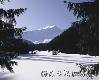 Tatry widok z Małej Polanki Ornaczańskiej na Błyszcz