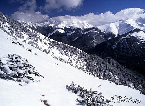 Panorama Tatr z Bobrowca, Tatry Zachodnie