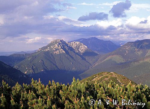 Kominiarski Wierch, widok z Grzesia