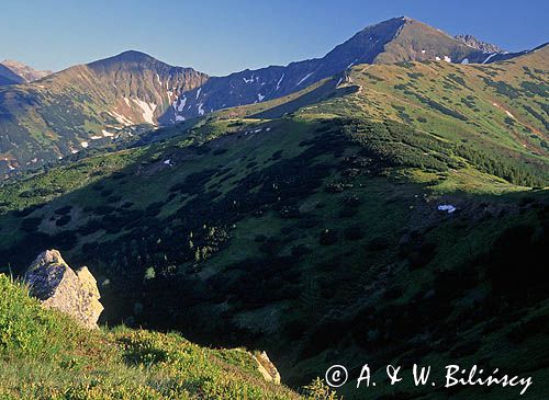 Łopata i Wołowiec, widok z Grzesia, Tatry Zachodnie