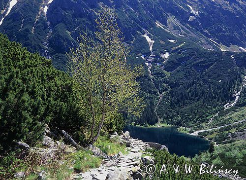 Tatry, nad Morskim Okiem