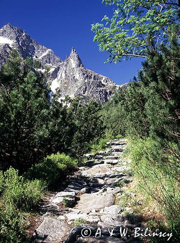 Tatry widok na Mnicha ze szlaku na Szpiglasową