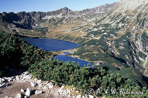 Tatry dolina Pięciu Stawów Polskich