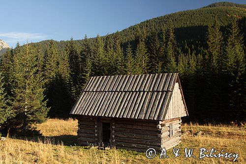 Tatry Polana Chochołowska szałas pasterski