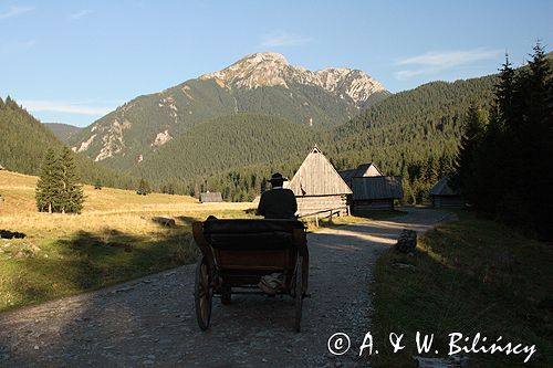 Tatry Polana Chochołowska szałasy pasterskie