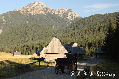 Tatry Polana Chochołowska szałasy pasterskie