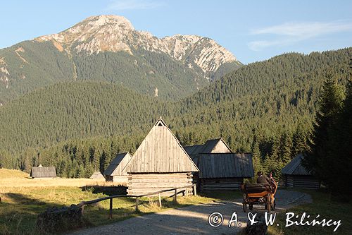 Tatry Polana Chochołowska szałasy pasterskie