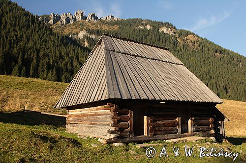 Tatry Polana Chochołowska szałas pasterski