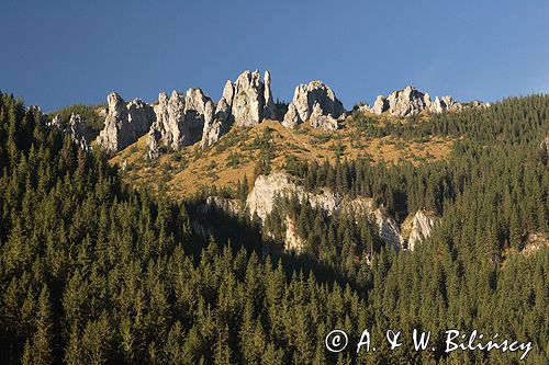 Tatry Mnichy Chochołowskie