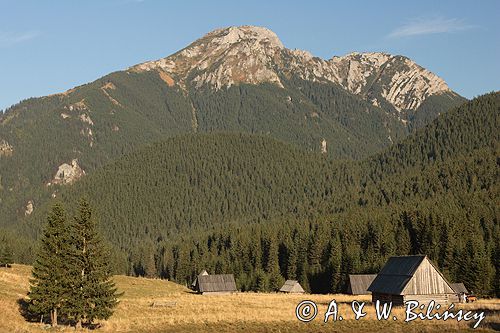 Tatry Polana Chochołowska szałasy pasterskie