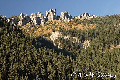 Tatry Mnichy Chochołowskie