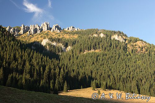 Tatry Polana Chochołowska Mnichy Chochołowskie