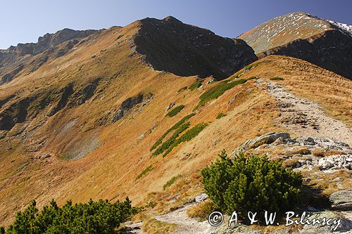 Tatry jesień widok z Siwej Przełęczy na Siwe Turnie