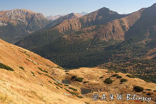 Tatry Dolina Pyszniańska Smreczyński W.